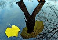 Otoño