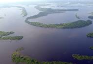 Amazonia: Paisajes